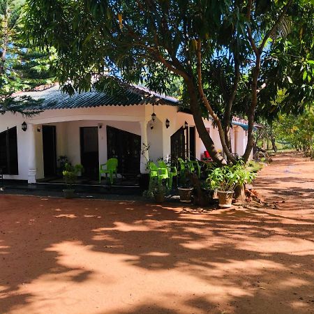 Dambulla City Hostel Экстерьер фото