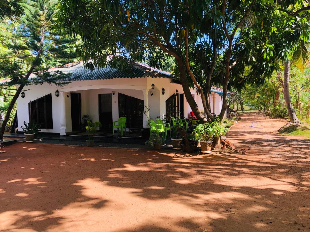 Dambulla City Hostel Экстерьер фото